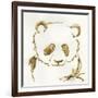 Gilded Panda-Chris Paschke-Framed Premium Giclee Print