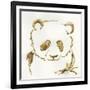 Gilded Panda-Chris Paschke-Framed Premium Giclee Print