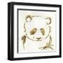 Gilded Panda-Chris Paschke-Framed Art Print