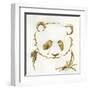 Gilded Panda-Chris Paschke-Framed Art Print