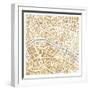 Gilded Paris Map-Laura Marshall-Framed Art Print