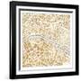 Gilded Paris Map-Laura Marshall-Framed Art Print