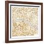 Gilded Paris Map-Laura Marshall-Framed Art Print