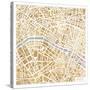 Gilded Paris Map-Laura Marshall-Stretched Canvas