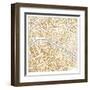 Gilded Paris Map-Laura Marshall-Framed Art Print