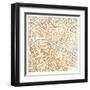 Gilded Paris Map-Laura Marshall-Framed Art Print