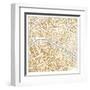 Gilded Paris Map-Laura Marshall-Framed Art Print