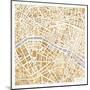 Gilded Paris Map-Laura Marshall-Mounted Art Print