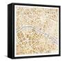 Gilded Paris Map-Laura Marshall-Framed Stretched Canvas
