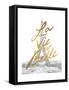 Gilded Paris-Moira Hershey-Framed Stretched Canvas