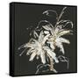 Gilded Poinsettias-Chris Paschke-Framed Stretched Canvas