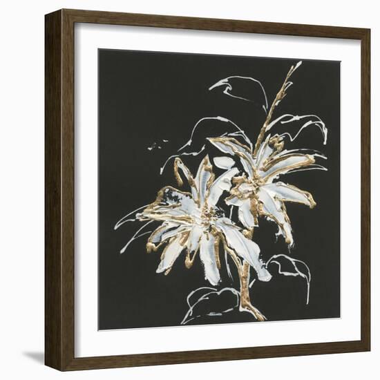 Gilded Poinsettias-Chris Paschke-Framed Art Print