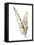 Gilded Raven Feather-Chris Paschke-Framed Stretched Canvas