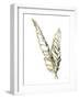 Gilded Raven Feather-Chris Paschke-Framed Art Print