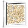 Gilded Rome Map-Laura Marshall-Framed Art Print