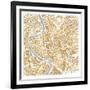 Gilded Rome Map-Laura Marshall-Framed Art Print