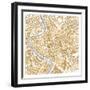 Gilded Rome Map-Laura Marshall-Framed Art Print