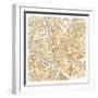 Gilded Rome Map-Laura Marshall-Framed Art Print