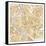 Gilded Rome Map-Laura Marshall-Framed Stretched Canvas