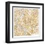 Gilded Rome Map-Laura Marshall-Framed Art Print