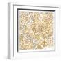 Gilded Rome Map-Laura Marshall-Framed Art Print