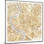 Gilded Rome Map-Laura Marshall-Mounted Art Print