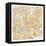 Gilded Rome Map-Laura Marshall-Framed Stretched Canvas