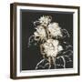 Gilded Roses-Chris Paschke-Framed Art Print