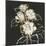 Gilded Roses-Chris Paschke-Mounted Art Print