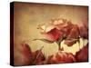 Gilded Roses-Jessica Jenney-Stretched Canvas