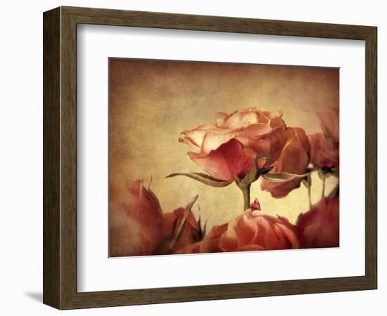 Gilded Roses-Jessica Jenney-Framed Giclee Print