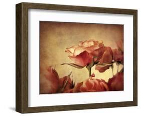 Gilded Roses-Jessica Jenney-Framed Giclee Print