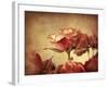 Gilded Roses-Jessica Jenney-Framed Giclee Print