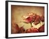 Gilded Roses-Jessica Jenney-Framed Giclee Print