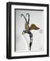 Gilded Silver Handle of Vase Depicting Winged Ibex, from Palace of Darius I, from Shush-null-Framed Giclee Print
