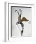 Gilded Silver Handle of Vase Depicting Winged Ibex, from Palace of Darius I, from Shush-null-Framed Giclee Print