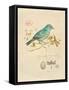 Gilded Songbird 1-Chad Barrett-Framed Stretched Canvas