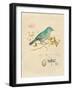 Gilded Songbird 1-Chad Barrett-Framed Art Print