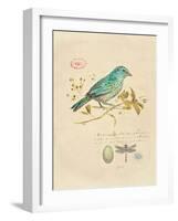 Gilded Songbird 1-Chad Barrett-Framed Art Print