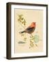 Gilded Songbird 3-Chad Barrett-Framed Art Print