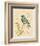 Gilded Songbird 4-Chad Barrett-Framed Art Print