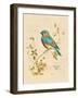 Gilded Songbird 4-Chad Barrett-Framed Art Print