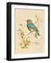 Gilded Songbird 4-Chad Barrett-Framed Art Print