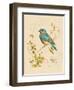 Gilded Songbird 4-Chad Barrett-Framed Art Print