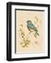 Gilded Songbird 4-Chad Barrett-Framed Art Print