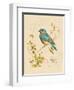 Gilded Songbird 4-Chad Barrett-Framed Art Print