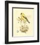 Gilded Songbird II-Chad Barrett-Framed Art Print