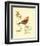 Gilded Songbird III-Chad Barrett-Framed Art Print