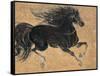 Gilded Stallion 1-null-Framed Stretched Canvas