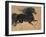 Gilded Stallion 1-null-Framed Art Print